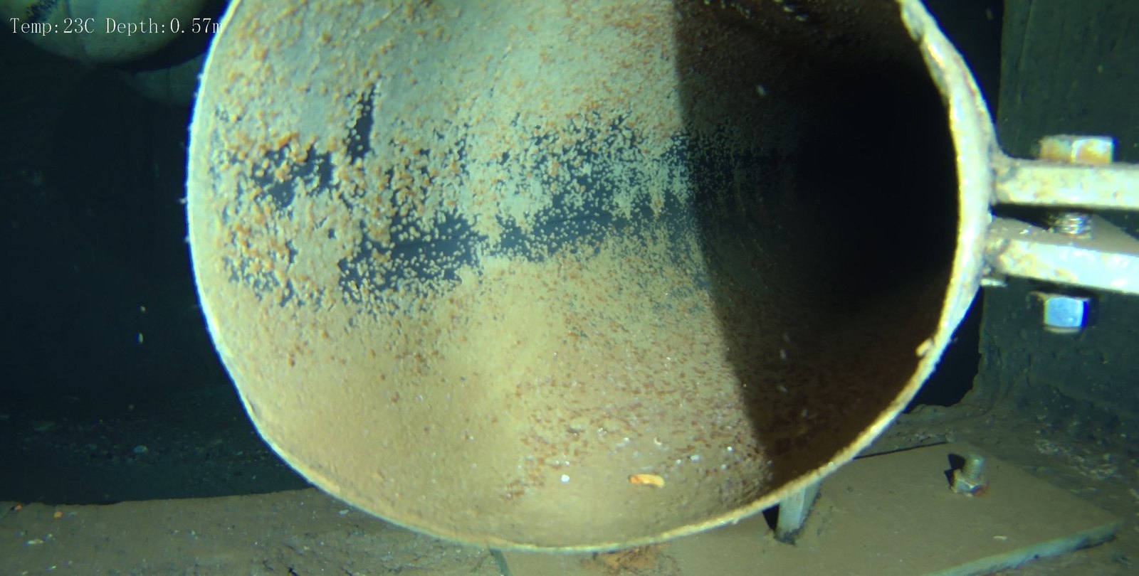 Ripresa del ROV: una condotta con la superficie ossidata