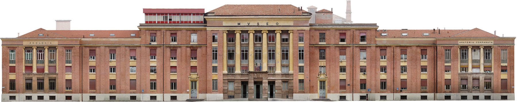 Ortofoto del prospetto su via Selmi, con l'ingresso del museo