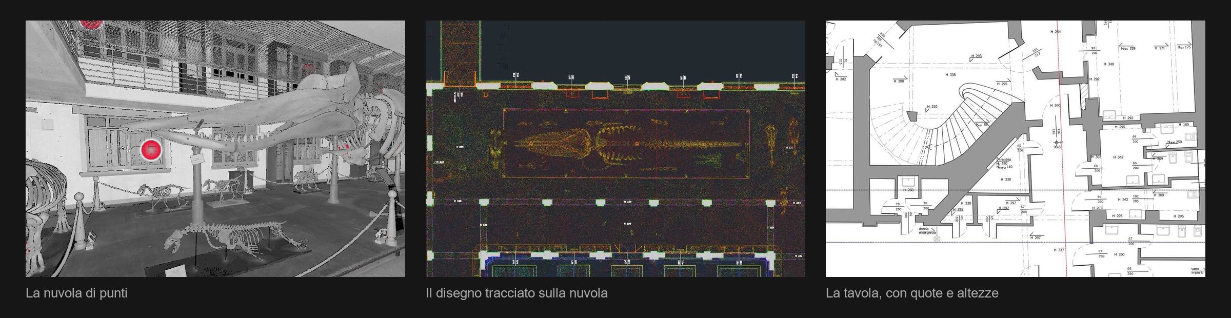 Via Selmi a Bologna: la nuvola di punti della sala del capodoglio, il disegno tracciato sopra la nuvola e una tavola con quote e altezze dei locali
