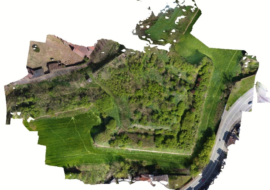 Bastioni di Alessandria: il baluardo nel modello da drone Modello 3D fotogrammetrico: Bastioni di Alessandria: il baluardo nel modello da drone
