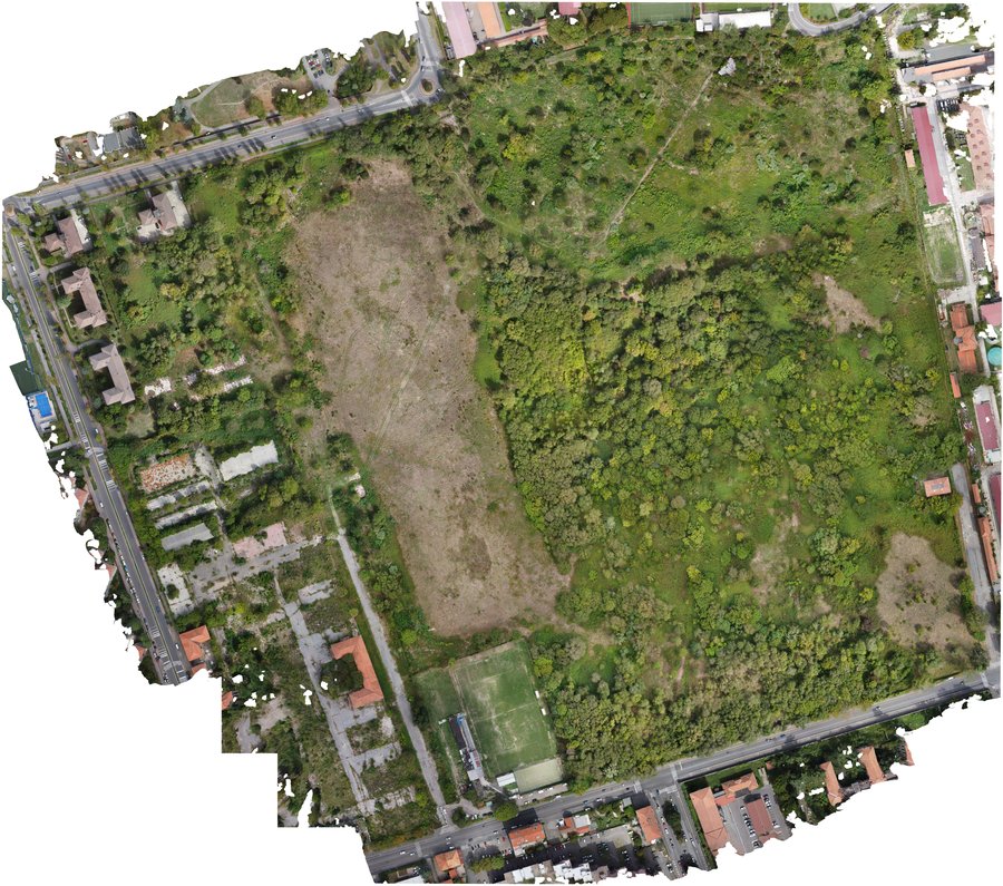 Piazza d'Armi, Milano: l'area verde Ortofoto da drone: Piazza d'Armi, Milano: l'area verde